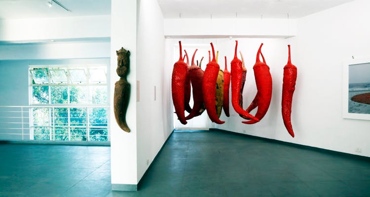 Red,Food,Vegetable,Chili pepper,Peperoncini,Room,Bell peppers and chili peppers,Plant,Modern art,Seafood