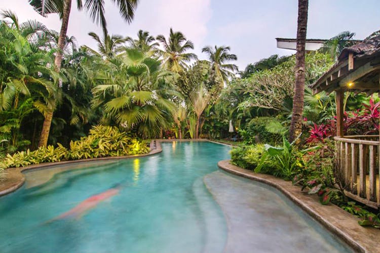 Swimming pool,Resort,Property,Real estate,Leisure,Botany,Vacation,Tree,Estate,House