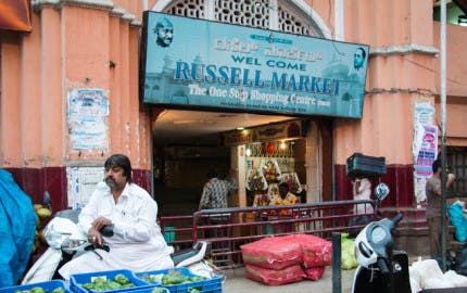 pet market shivaji nagar