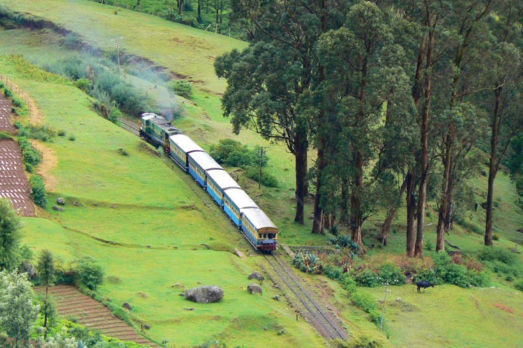 Transport,Railway,Green,Train,Rolling stock,Rural area,Hill station,Vehicle,Tree,Locomotive