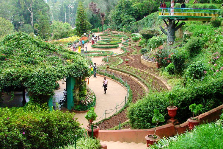 Garden,Botanical garden,Nature,Vegetation,Natural landscape,Landscape,Botany,Shrub,Landscaping,Plant