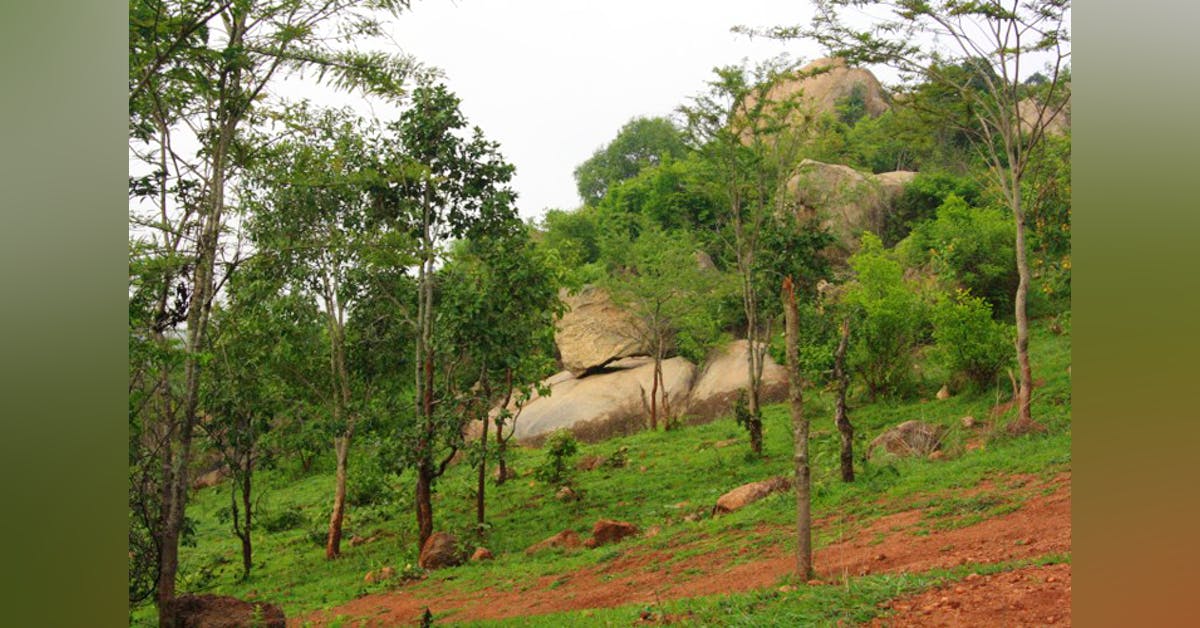 Go Hiking and Cycling At Turahalli Forest | LBB, Bangalore