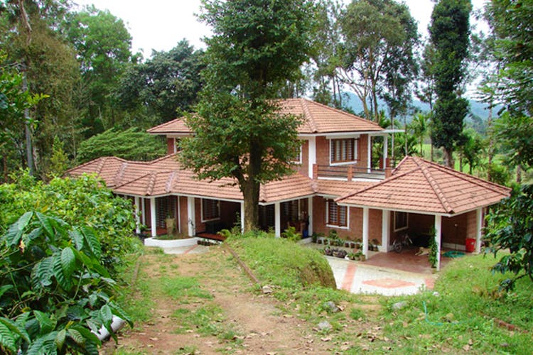 Property,House,Home,Cottage,Building,Real estate,Roof,Tree,Estate,Log cabin