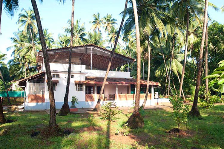 Property,House,Home,Resort,Real estate,Building,Tree,Attalea speciosa,Palm tree,Cottage