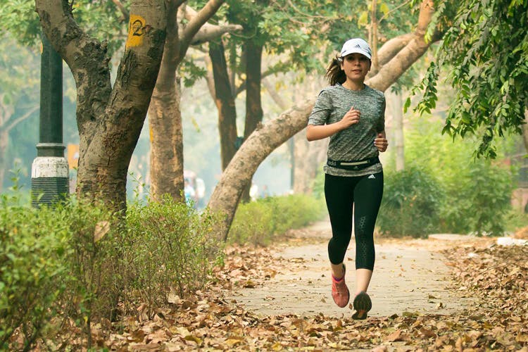 People in nature,Jogging,Tree,Running,Recreation,Exercise,Woodland,Forest,Plant,Physical fitness