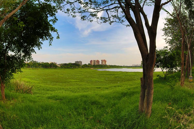 Natural landscape,Tree,Nature,Green,Pasture,Grassland,Sky,Natural environment,Grass,Field