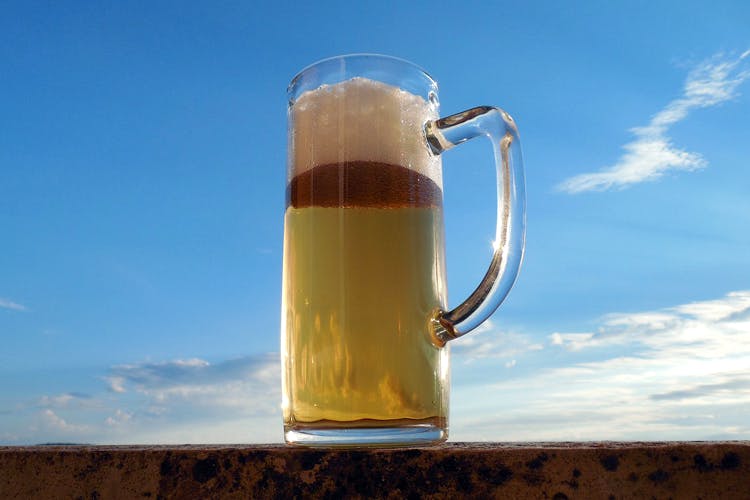 Beer glass,Drink,Pint glass,Glass,Pint,Lager,Beer stein,Beer,Mug,Wheat beer