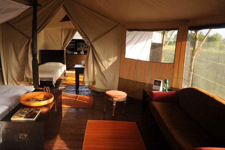 Luxury Camping At The Bison Resort Kabini | LBB, Bangalore