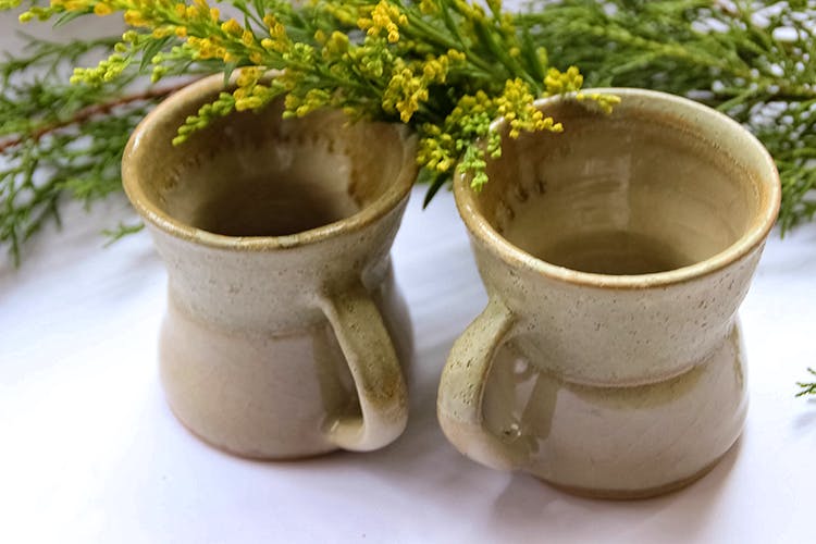 Flowerpot,earthenware,Pottery,Houseplant,Ceramic,Serveware,Vase,Jug,Tableware,Drinkware