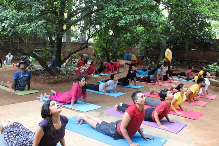Akshar Power Yoga in Electronic City,Bangalore - Best Power Yoga Classes in  Bangalore - Justdial