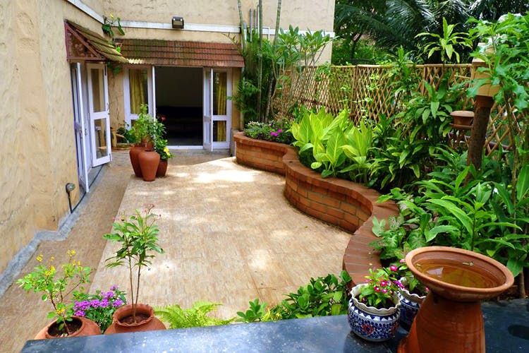 Property,Backyard,Yard,House,Real estate,Courtyard,Garden,Home,Landscape,Plant