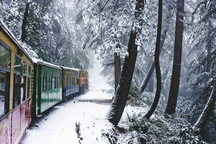 Snow,Winter,Tree,Freezing,Transport,Atmospheric phenomenon,Frost,Forest,Woodland,Woody plant