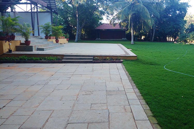 Grass,Lawn,Road surface,Walkway,Public space,Artificial turf,Flooring,Landscaping,Yard,Driveway