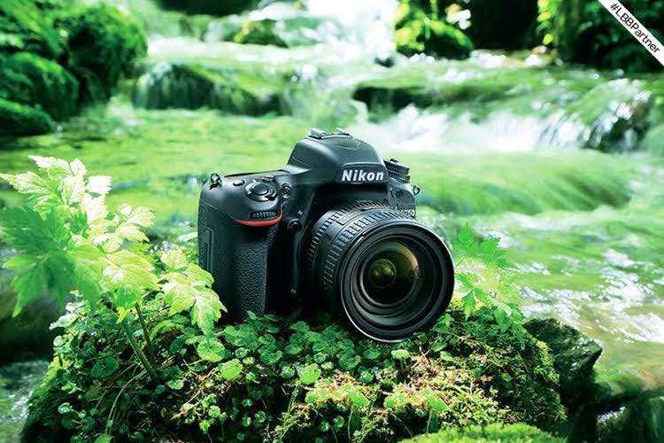Camera lens,Camera,Cameras & optics,Camera accessory,Nature,Digital camera,Lens,Green,Single-lens reflex camera,Point-and-shoot camera