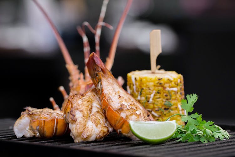 sanchos-i