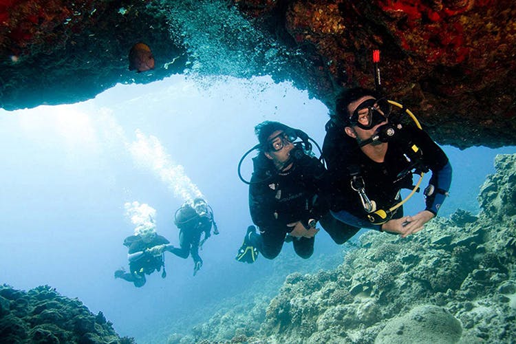 Scuba diving,Underwater,Underwater diving,Water,Divemaster,Diving equipment,Recreation,Marine biology,Snorkeling,Organism