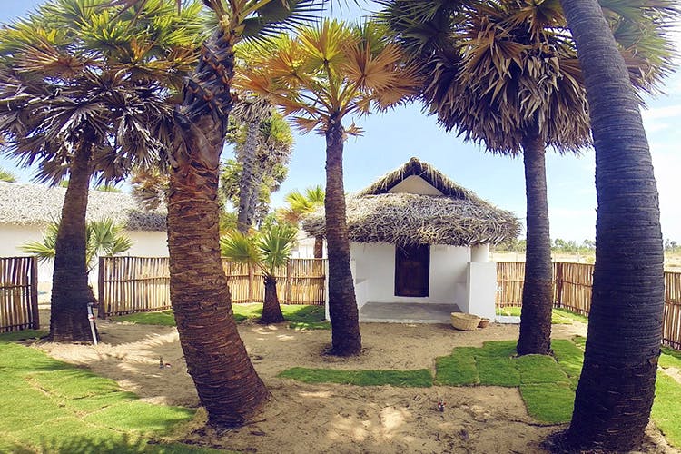 House,Property,Tree,Home,Palm tree,Arecales,Sky,Building,Cottage,Woody plant