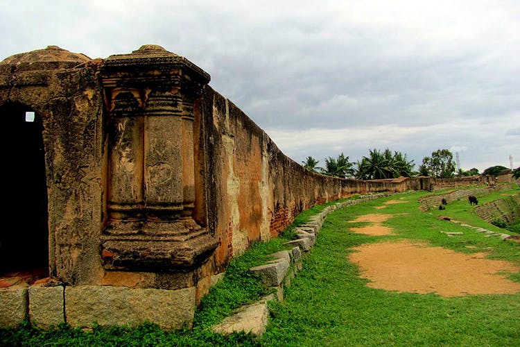 Ruins,Ancient history,Wall,Historic site,Building,Architecture,Grass,History,Tree,Archaeological site