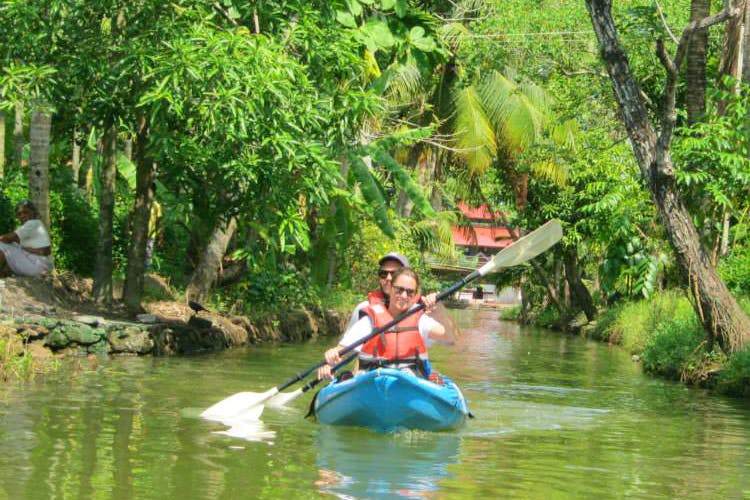 Nature,Jungle,Nature reserve,Natural landscape,Bayou,Boat,Natural environment,River,Vehicle,Watercourse
