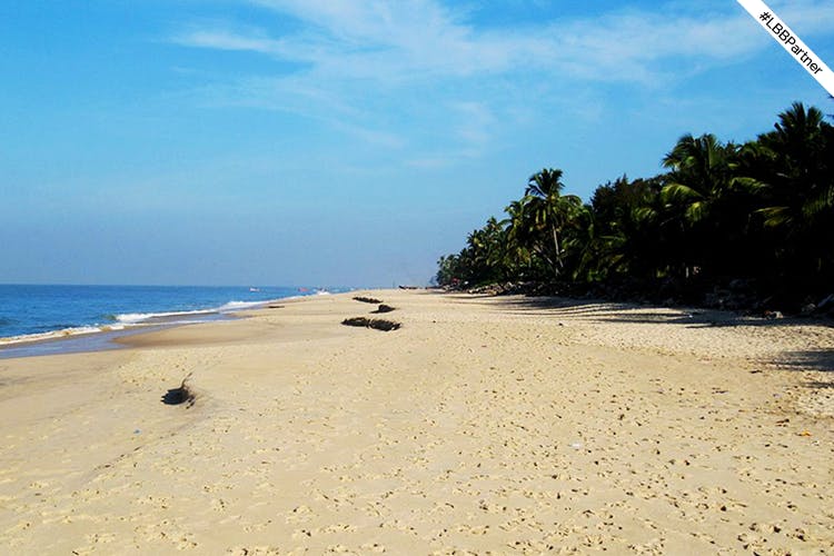 Beach,Body of water,Shore,Coast,Sand,Sea,Ocean,Sky,Coastal and oceanic landforms,Natural environment