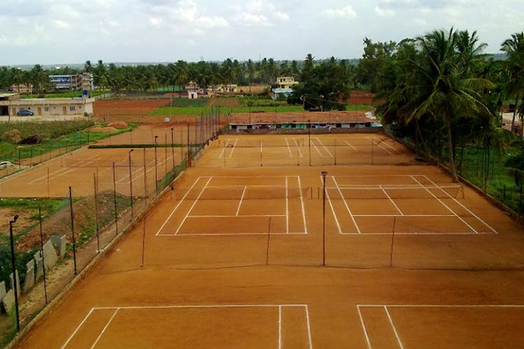 Sport venue,Tennis court,Grass