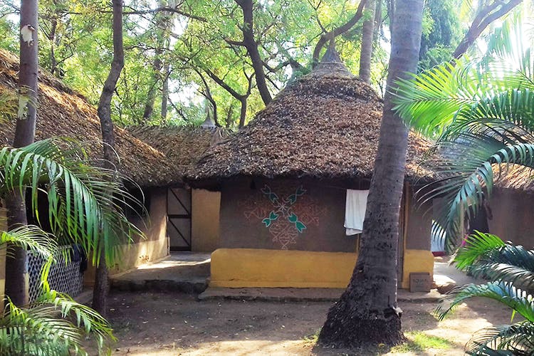 Thatching,Tree,Hut,House,Arecales,Building,Plant,Eco hotel,Cottage,Attalea speciosa