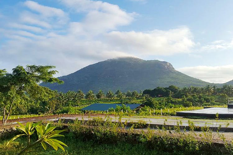 Highland,Mountain,Sky,Mountainous landforms,Hill,Hill station,Tropics,Tree,Cloud,Tourism