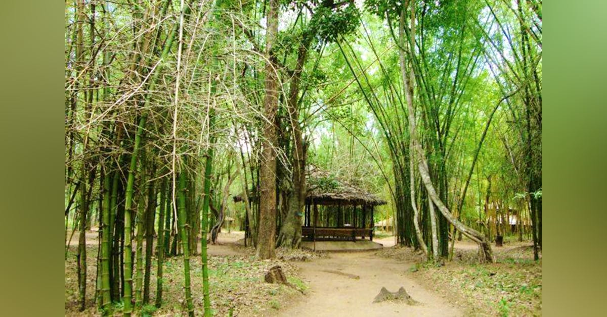 Nisargadhama Forest Resort Coorg | Little Black Book, Kempegowda International Airport, Bangalore