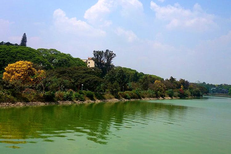 Body of water,Nature,Water resources,Vegetation,Sky,Water,Reservoir,River,Natural landscape,Lake