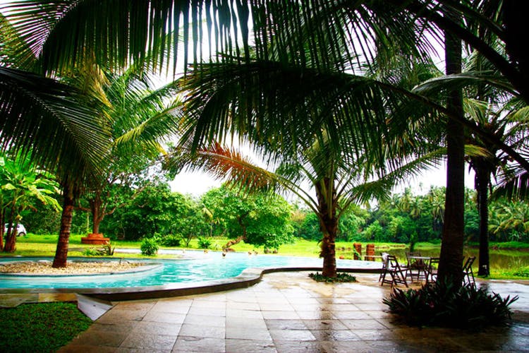Resort,Tree,Palm tree,Tropics,Arecales,Property,Vacation,Botany,Woody plant,Plant