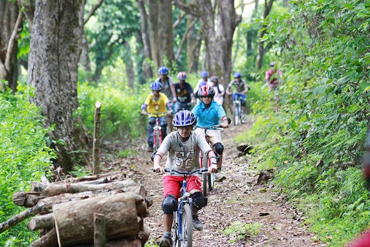 Jungle,Cycle sport,Cycling,Trail,Outdoor recreation,Nature reserve,Mountain biking,Vehicle,Mountain bike,Natural environment