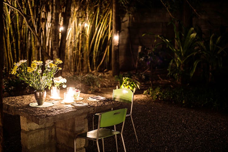 Lighting,Table,Night,Tree,Room,Flower,Plant,Furniture,Restaurant,Landscape lighting