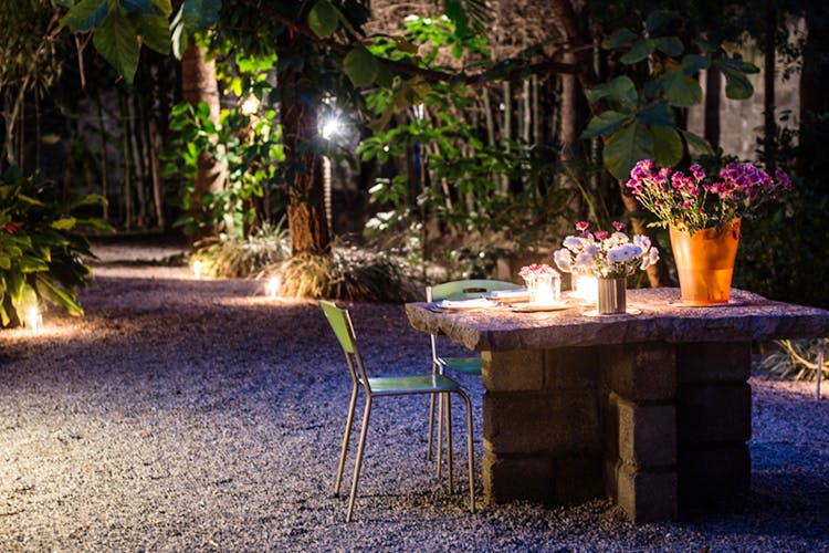 Lighting,Light,Table,Outdoor table,Majorelle blue,Tree,Furniture,Botany,Landscape lighting,Landscape