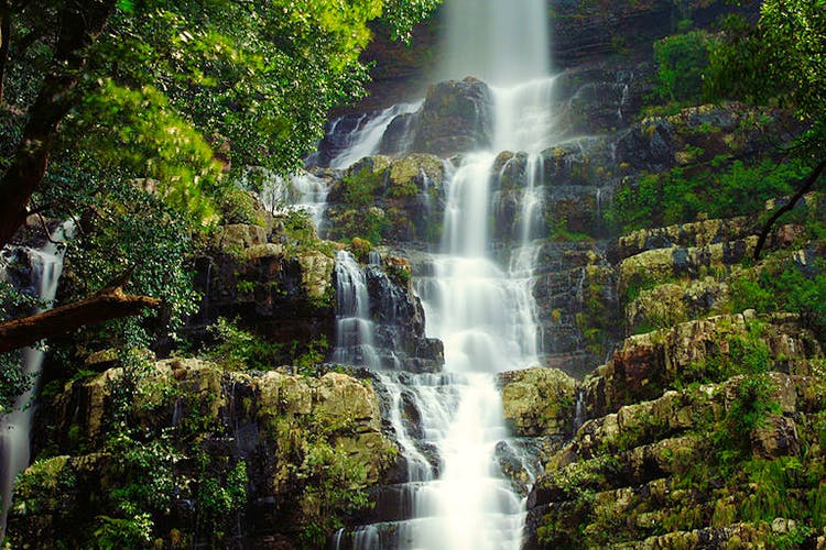 Waterfall,Body of water,Water resources,Natural landscape,Nature,Water,Nature reserve,Vegetation,Watercourse,Chute