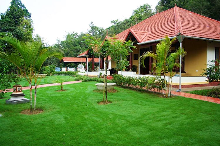 Grass,Lawn,Yard,Property,Backyard,Natural landscape,Resort,House,Garden,Land lot