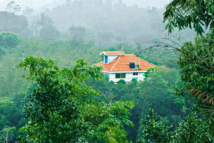 Hill station,Nature,Vegetation,Natural landscape,Green,Jungle,House,Atmospheric phenomenon,Tree,Nature reserve