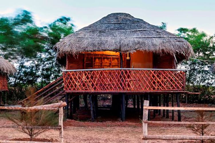 Hut,Building,House,Shack,Thatching,Roof,Eco hotel,Cottage,Jungle,Gazebo