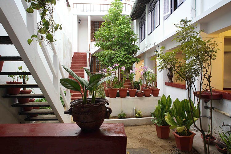 Property,Courtyard,Houseplant,Flowerpot,Building,Real estate,House,Home,Architecture,Room