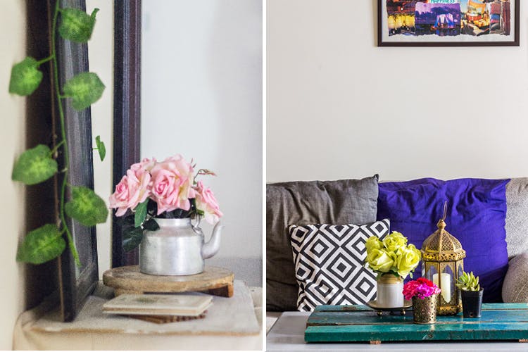 Room,Shelf,Purple,Furniture,Violet,Table,Living room,Wall,Interior design,Plant