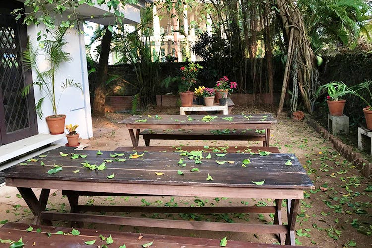Furniture,Table,Outdoor table,Bench,Botany,Tree,Outdoor furniture,Leisure,Garden,Outdoor bench
