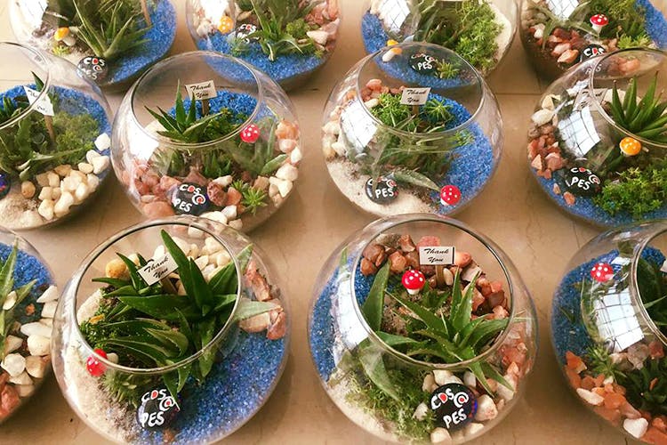 Image showcasing Check Out These Eco-Friendly Decor Stores | LBB, Bangalore
