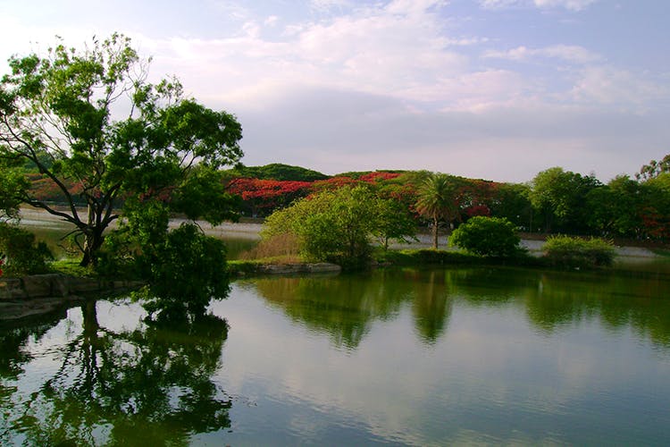 Tau Devi Lal Bio Diversity Park Gurugram Gurgaon Tau Devi Lal Bio Diversity Park Gurugram Gurgaon