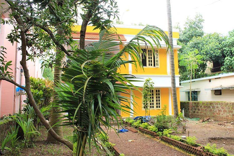 Vegetation,House,Property,Green,Tree,Yellow,Architecture,Real estate,Building,Residential area