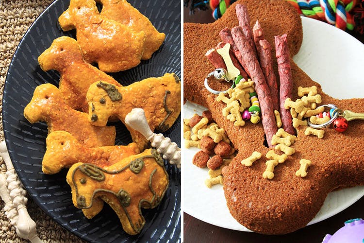 Bone Appetite Bakery For Dogs LBB, Bangalore