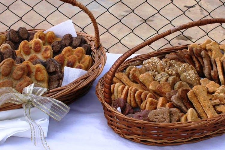 Bone Appetite Bakery For Dogs LBB, Bangalore