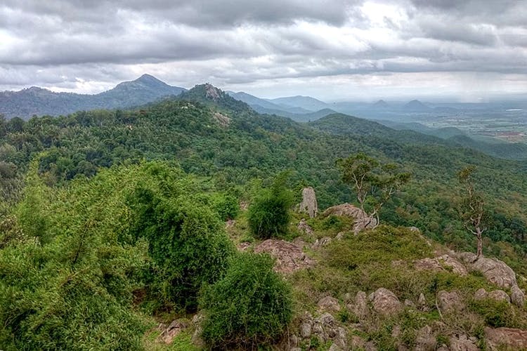 Mountainous landforms,Highland,Mountain,Vegetation,Natural landscape,Ridge,Hill station,Hill,Wilderness,Nature reserve