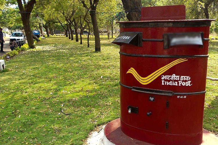 Post box,Red,Mailbox,Tree,Mail,Public utility,Plant,State park,Gas,Park