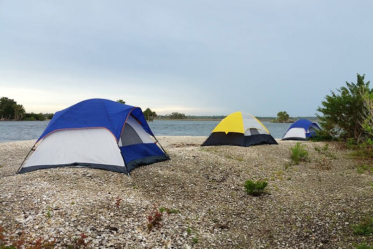 Camping,Tent,Wilderness,Sky,Biome,Ecoregion,Grassland,Plant community,Tarpaulin,Tree