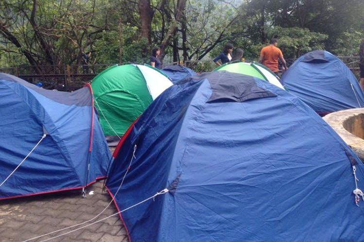 Camping,Tent,Tarpaulin,Recreation,Tree,Leisure,Camp,Plant,Hiking equipment,Sleeping bag