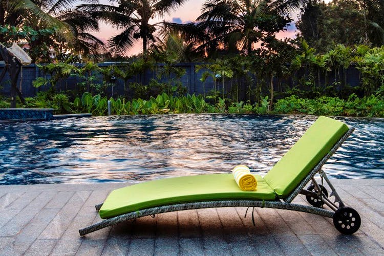 Outdoor furniture,Sunlounger,Furniture,Chaise longue,Leisure,Tree,Chair,Table,Plant,Vacation